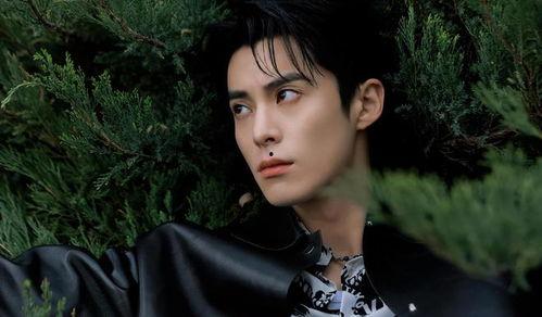 娱乐最新爆料王鹤棣,神秘女友身份引网友热议